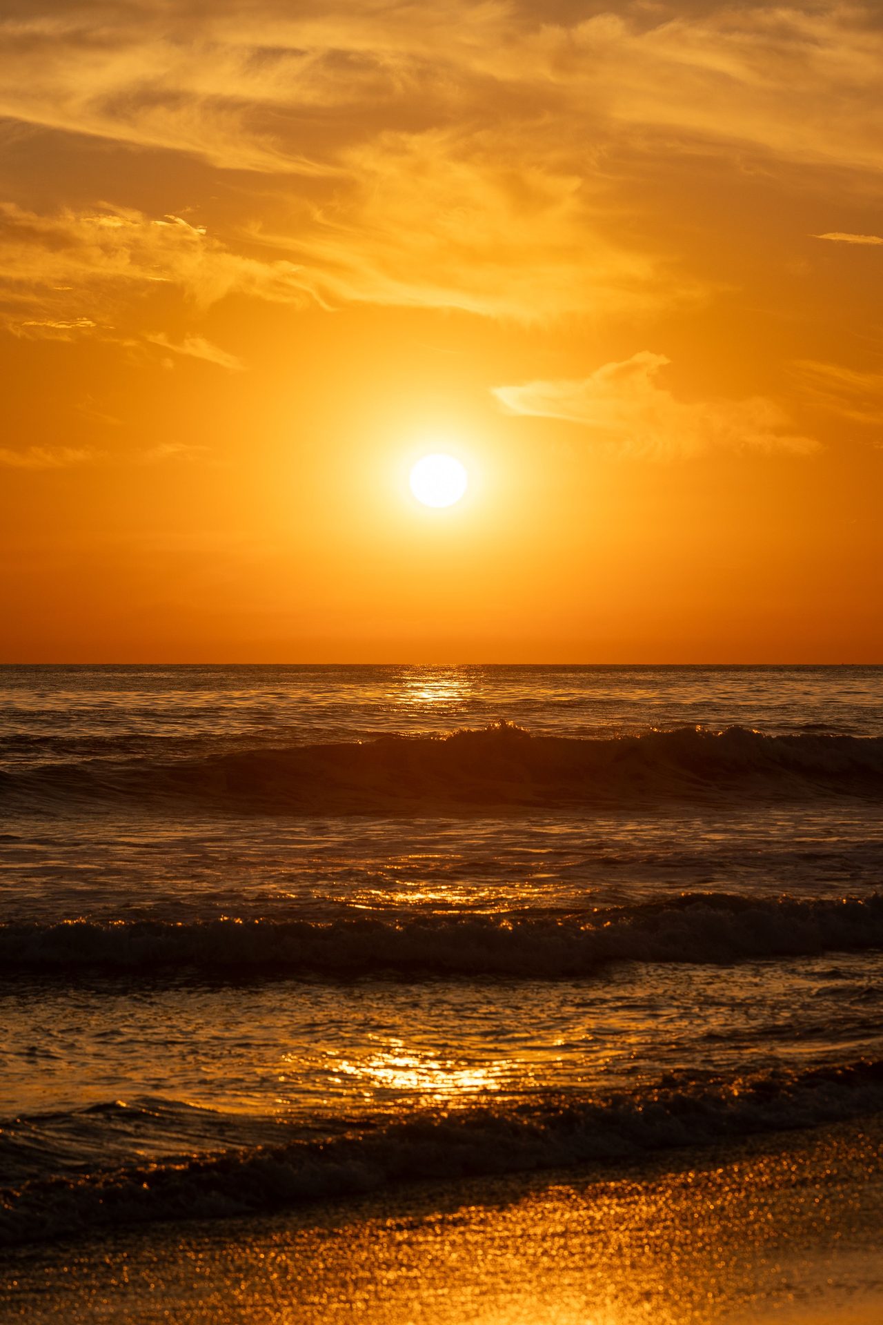 Playa canina de Las Salinas