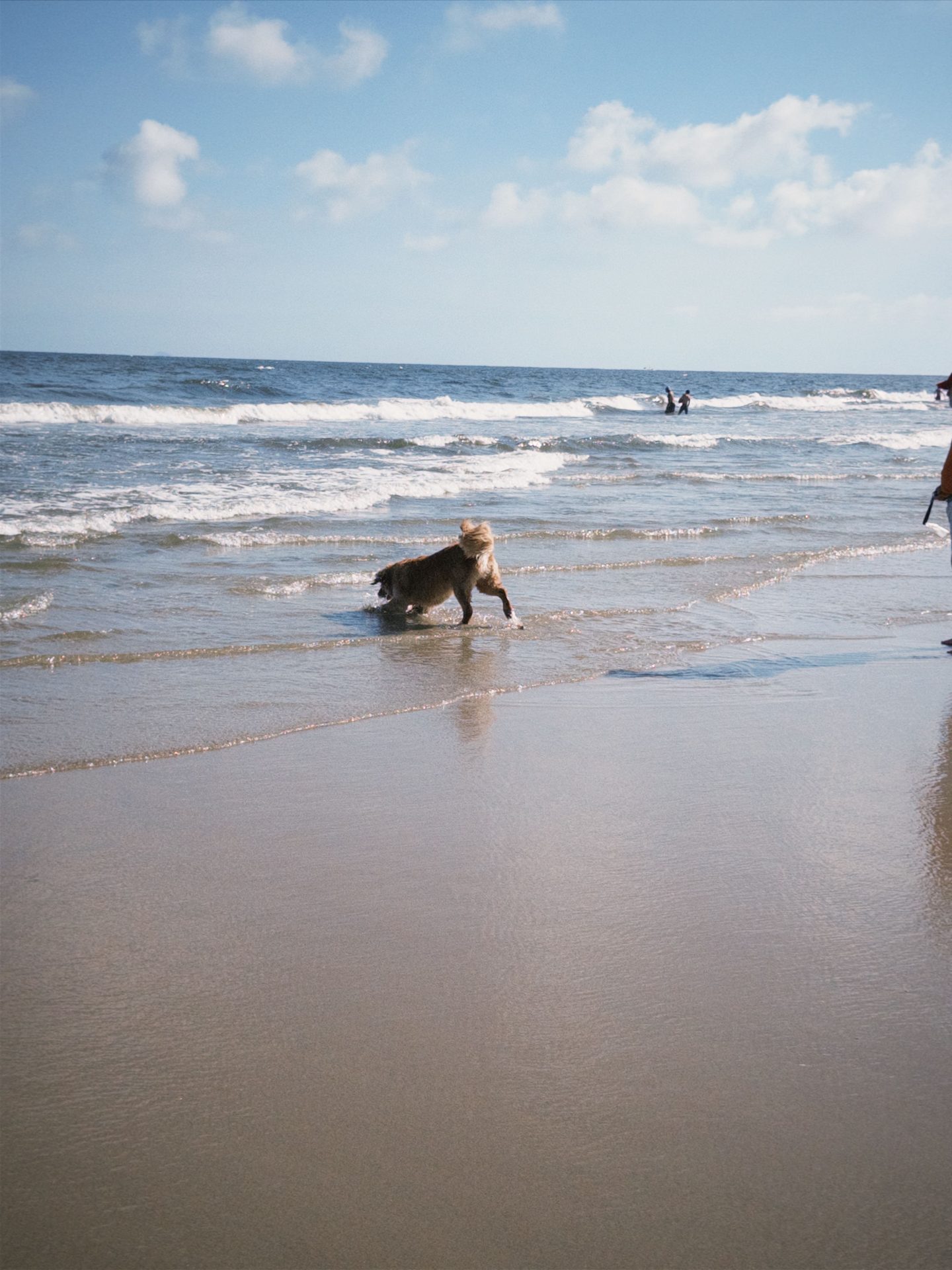 Playa canina La Veintiuna