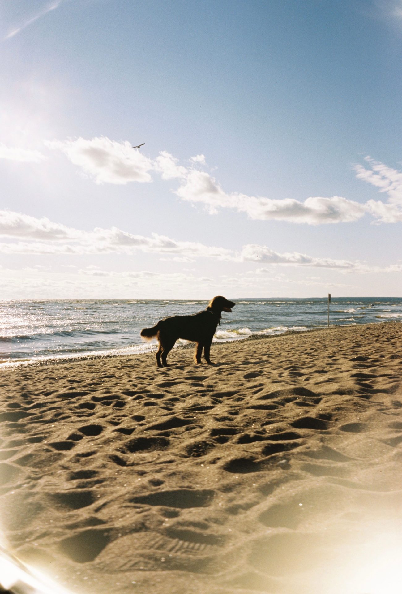 Playa de Sant Jordi