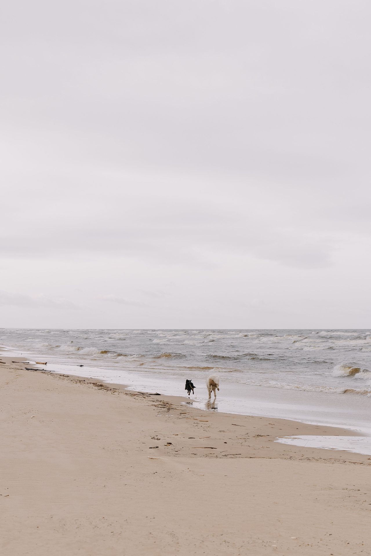 Playa Canina de Torre del Mar