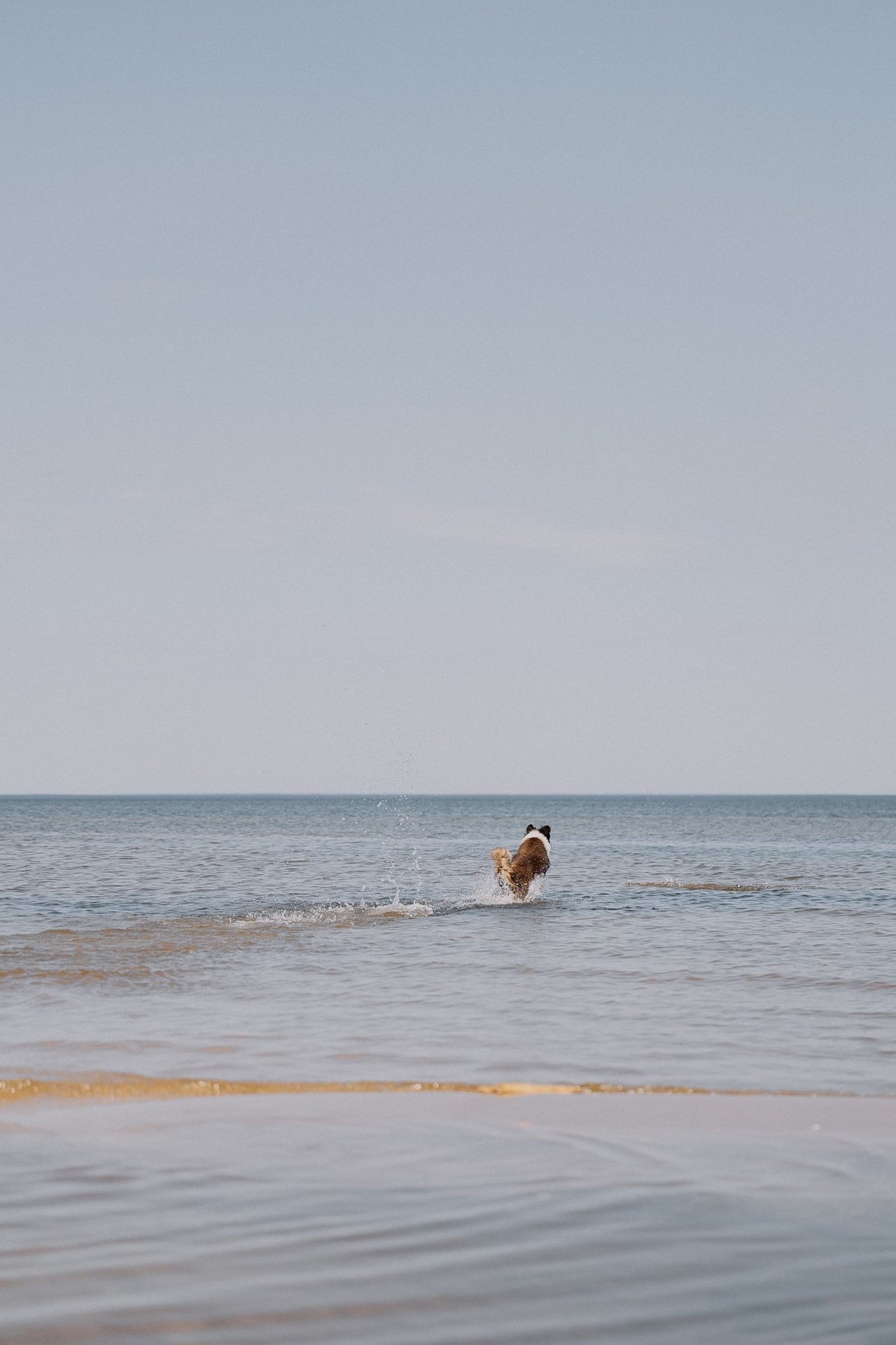 Playa del Arenal