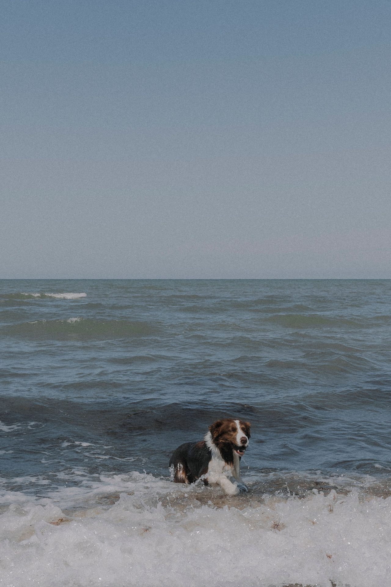 Playa La Renegá
