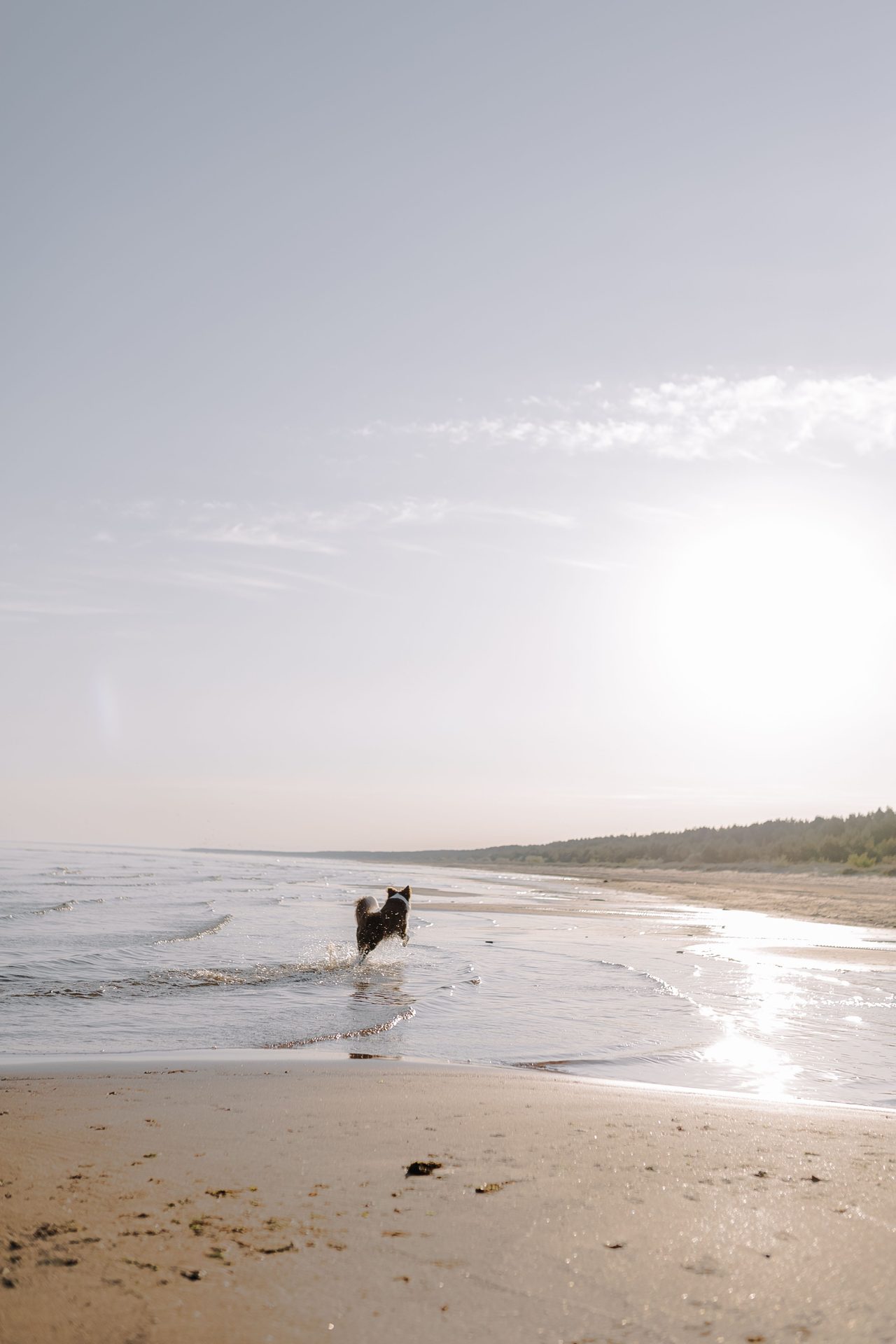 Playa Es Faralló