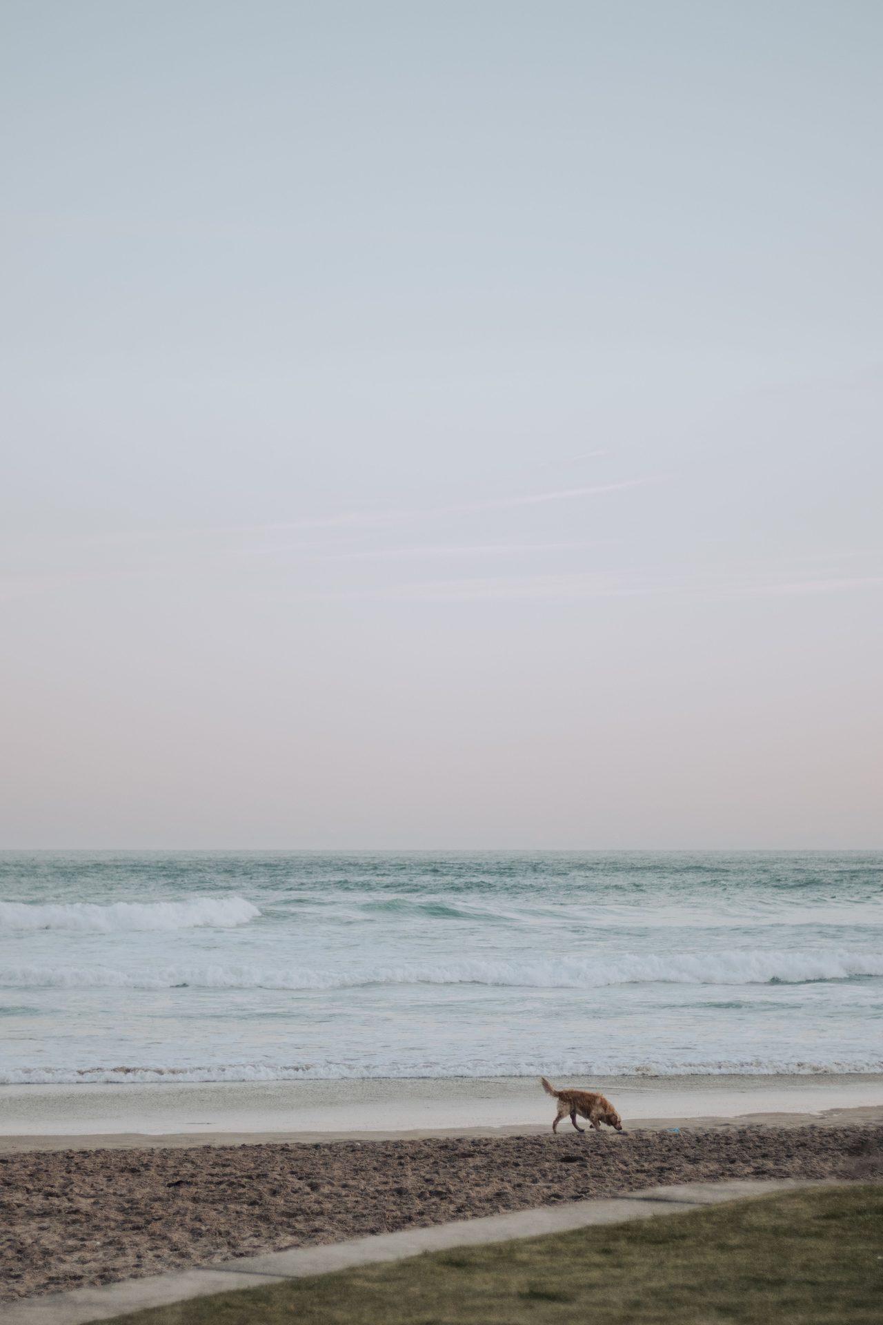 Playa de Valdearenas
