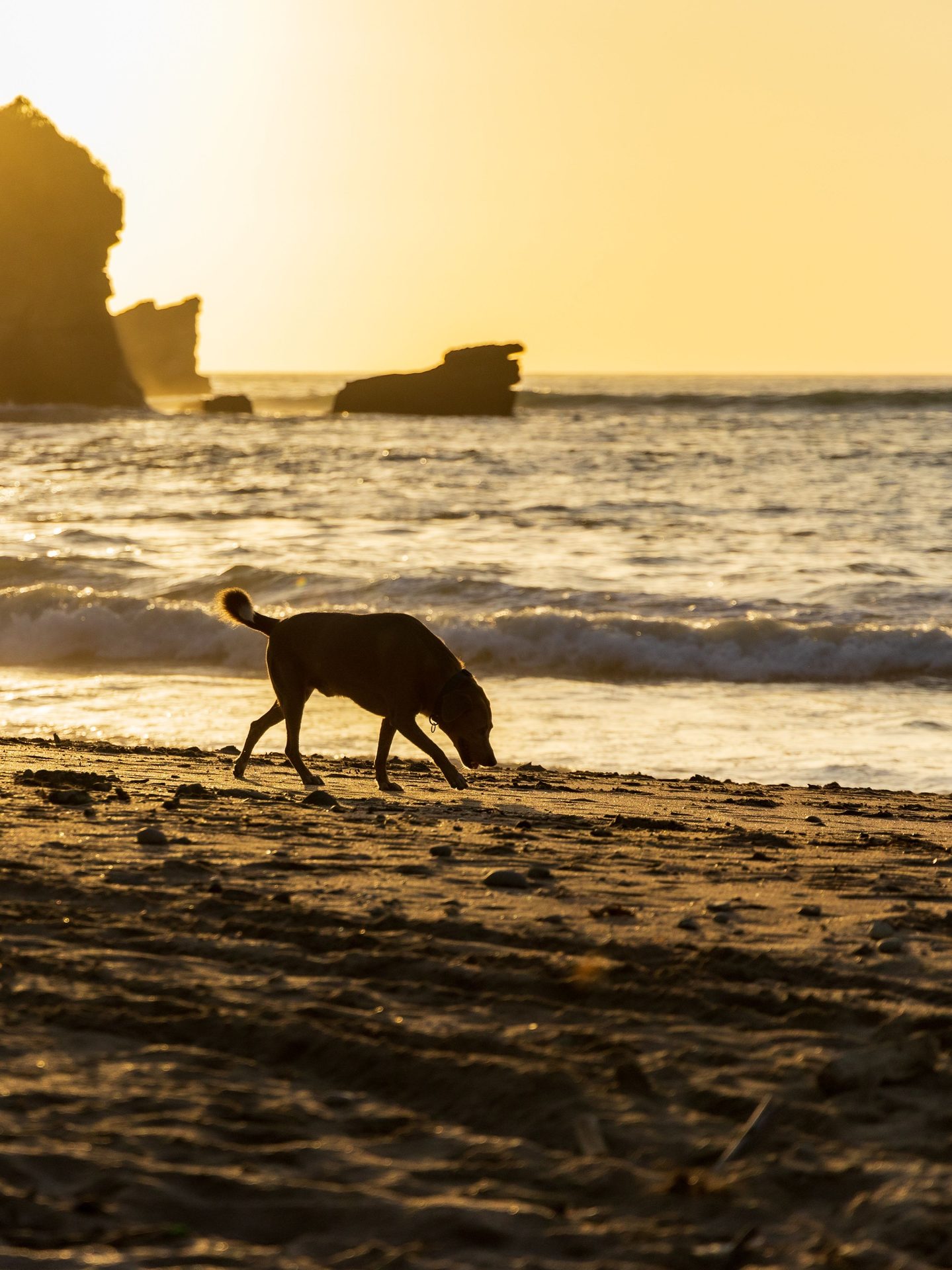 Playa de Coma-ruga