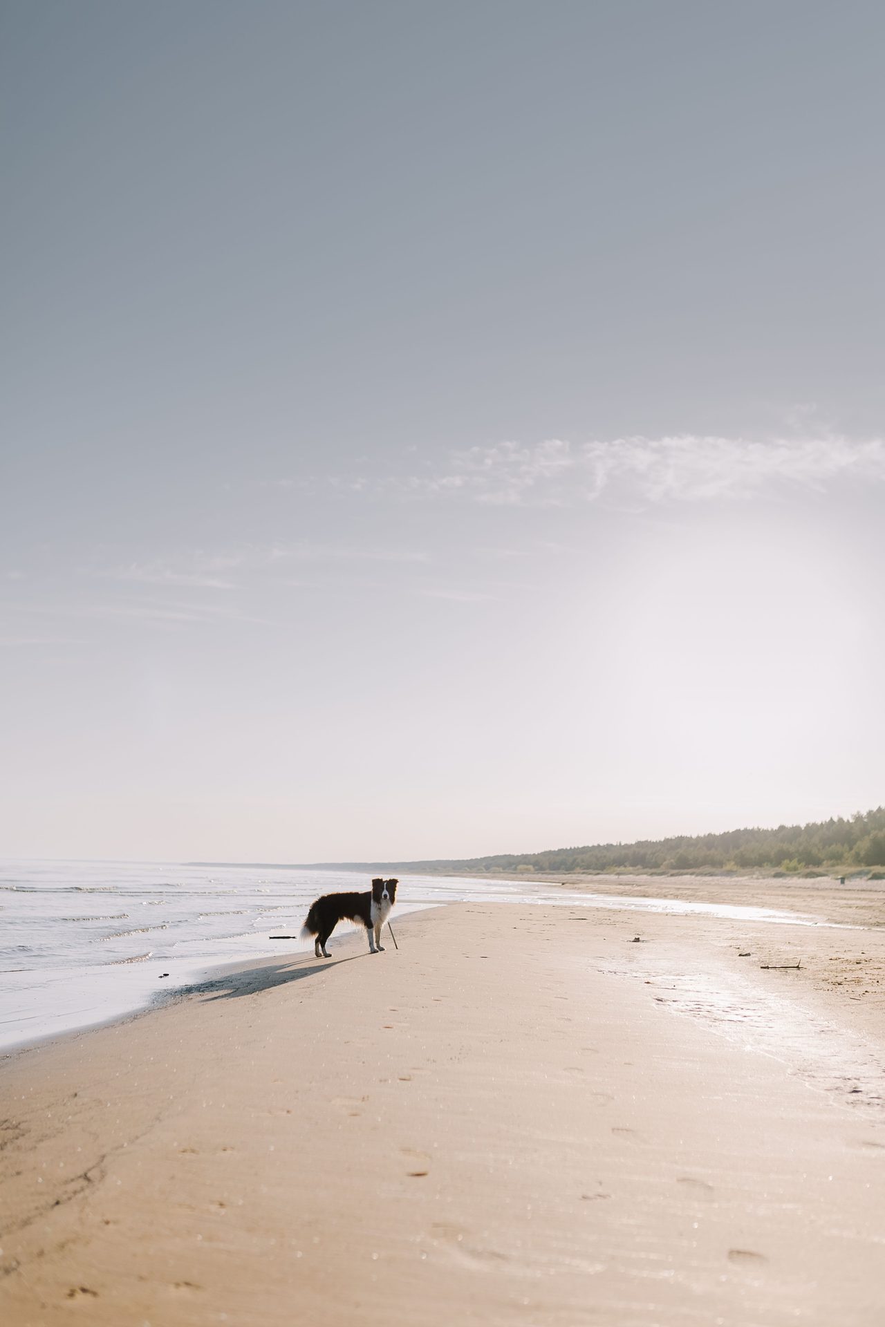Playa de O Castelete