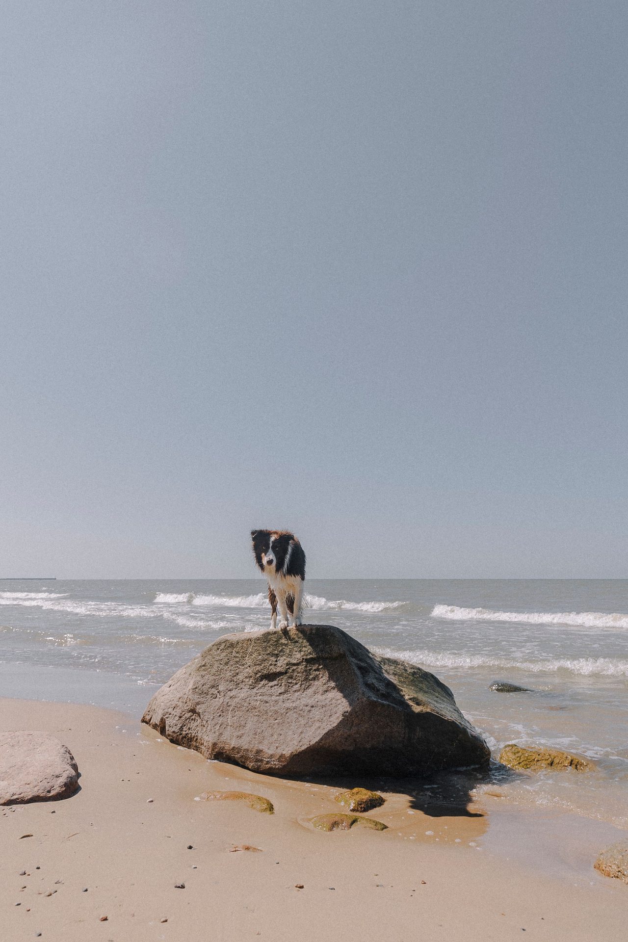 Playa El Ejido