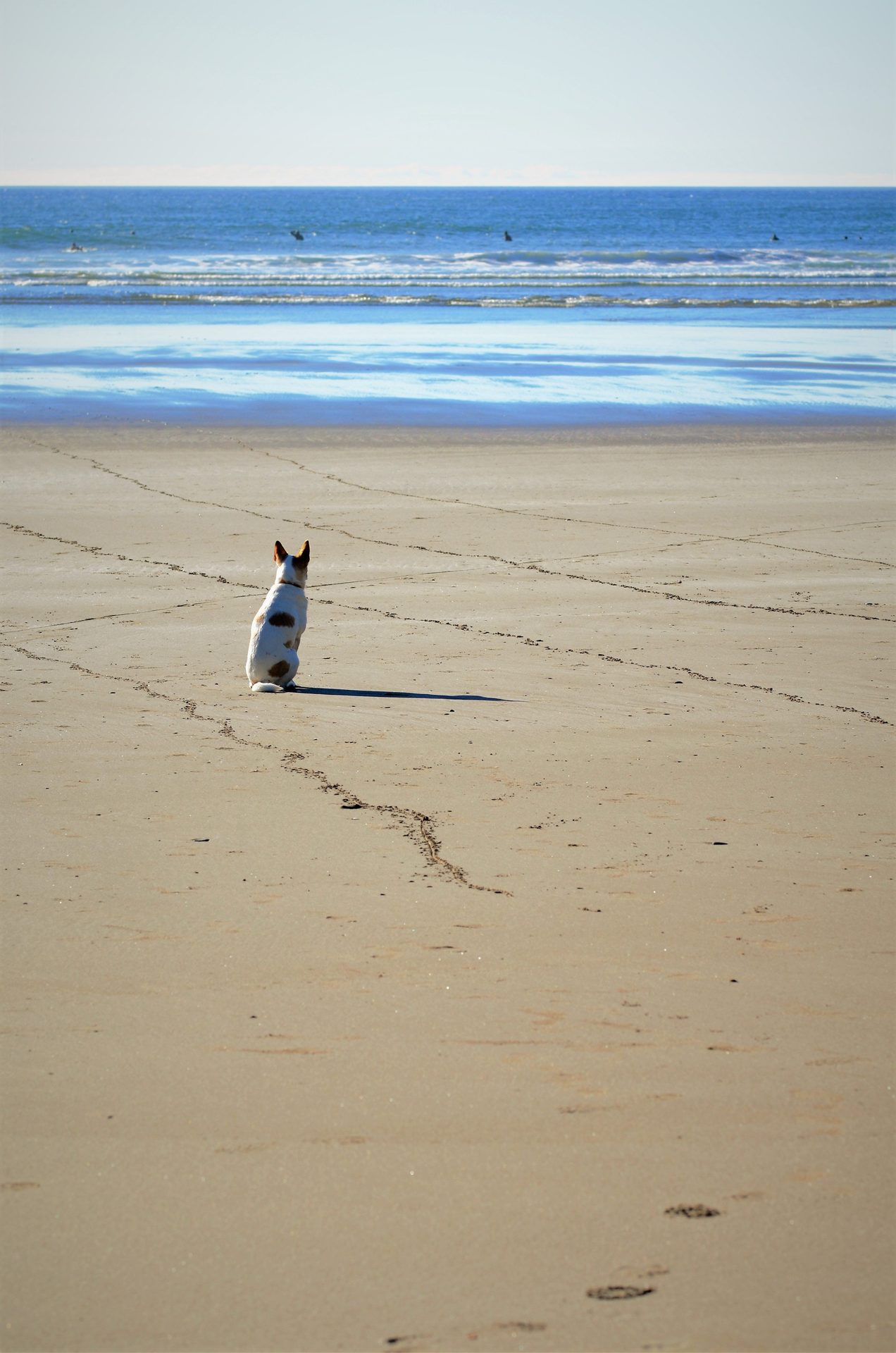 Playa de la Gola