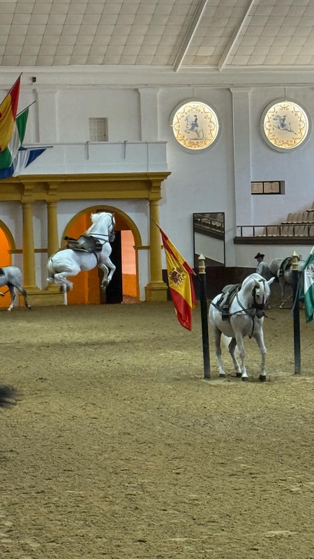 Bailan los caballos