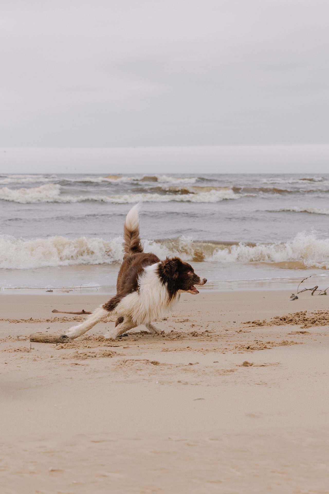 Playa Canina de El Puntal