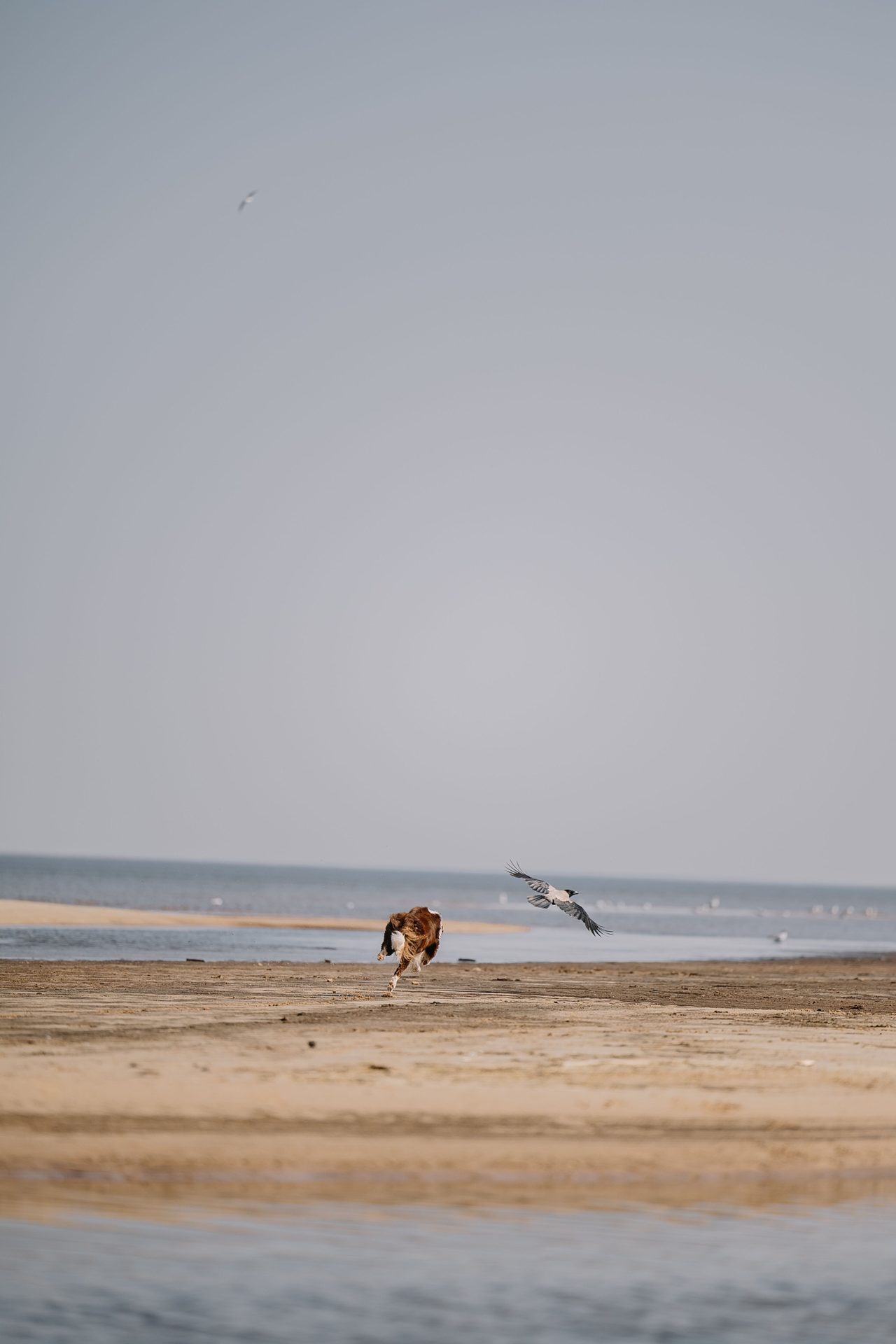 Playa de Seiramar