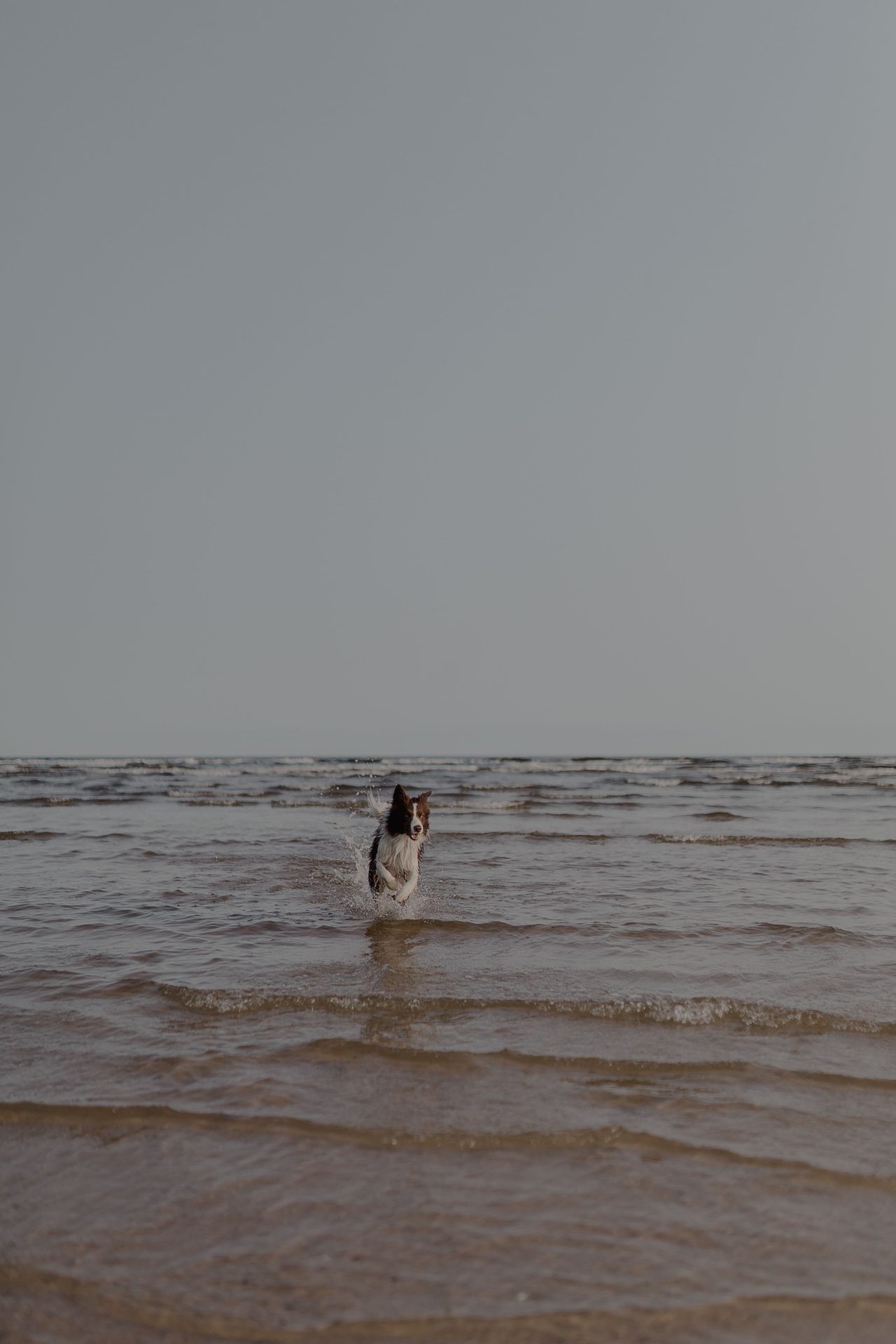 Playa de Les Llanetes